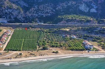 Teren construibil 20.000 mp, primă linie la mare – Kariani anunturi imobiliare Grecia