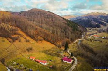 Teren Intravilan de vanzare EXTERIOR EST - Brasov anunturi imobiliare Brasov