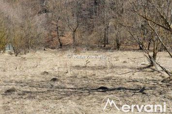 Teren Intravilan de vanzare BUSTENI - Prahova anunturi imobiliare Prahova