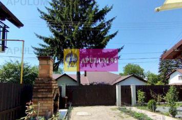 Vilă de vânzare în Câmpina anunturi imobiliare Prahova