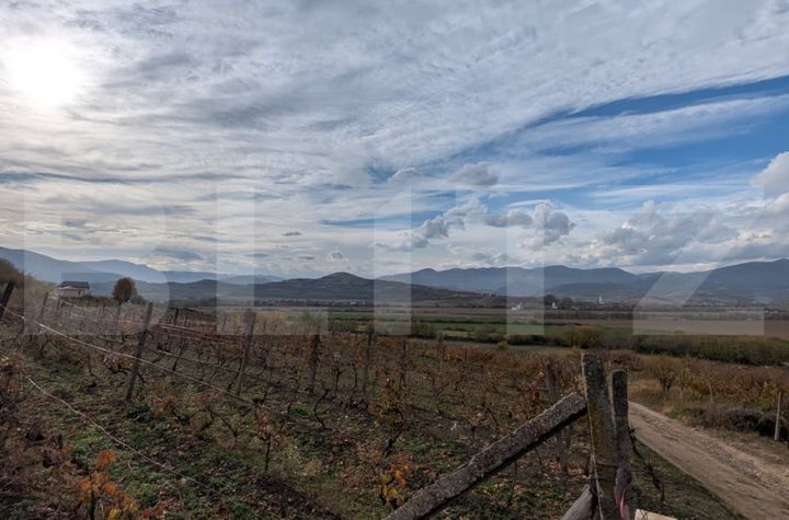 Teren de vanzare SARD - Alba anunturi imobiliare Alba