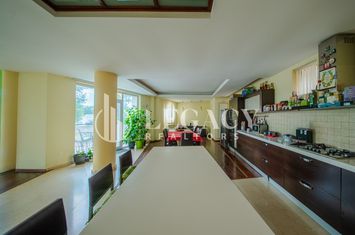 Vilă Exclusivistă în Copou – 680 mp Utili | Teren 1.414 mp anunturi imobiliare Iasi
