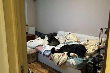 Aparatorii Patriei 2 camere centrala proprie anunturi imobiliare Bucuresti