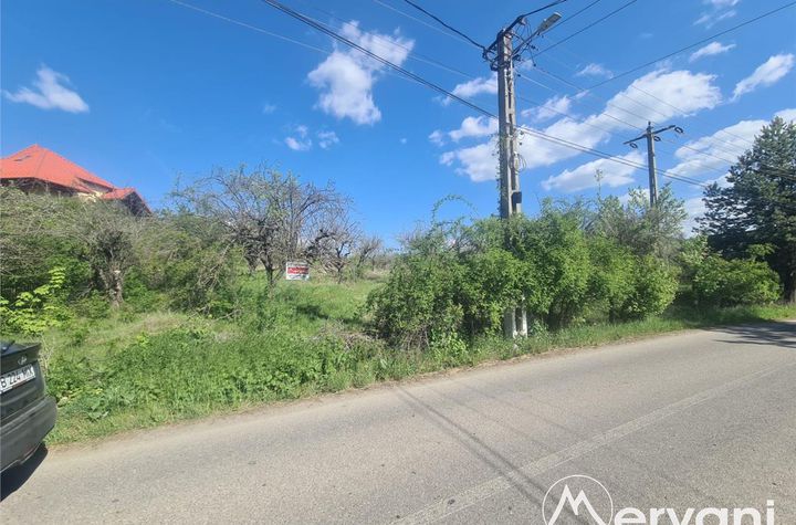 Teren Intravilan de vanzare VOILA - Prahova anunturi imobiliare Prahova