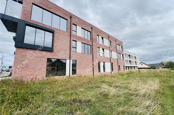 Apartament 2 camere de vanzare SELIMBAR - Sibiu anunturi imobiliare Sibiu