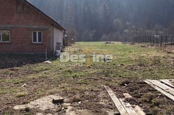 Teren de vanzare NEGULESTI - Neamt anunturi imobiliare Neamt