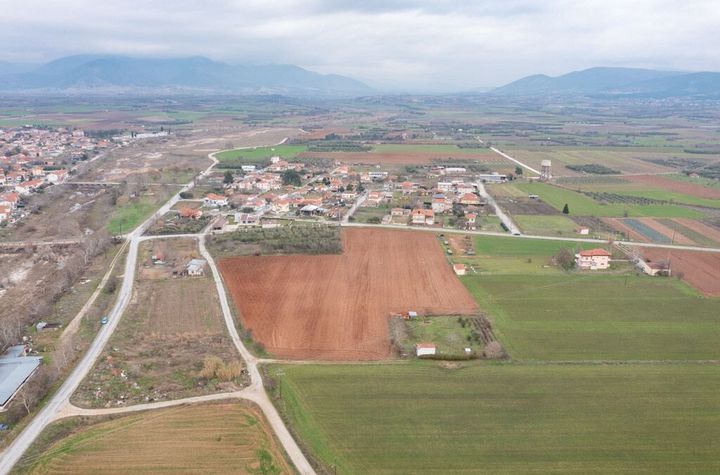 Teren construibil 10.153 mp în Doxato, Drama anunturi imobiliare Grecia