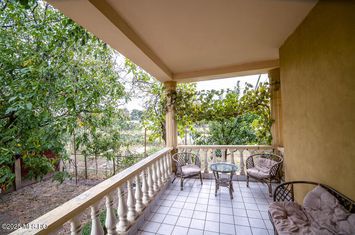Freidorf - Vila Multifunctionala - D+P+1, 380 mp utili! anunturi imobiliare Timis