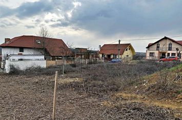 Teren Paleu cu vedere spre panoramică spre lac anunturi imobiliare Bihor