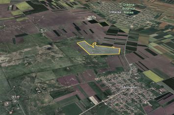 Teren Extravilan de vanzare MACEA - Arad anunturi imobiliare Arad