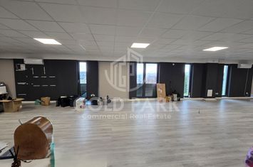 Spatiu de Birouri -350mp Zona Borhanci-Open Space/ 7 Parcari anunturi imobiliare Cluj