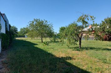 O proprietate imobiliara deosebita, formata din casa și mult teren! anunturi imobiliare Bucuresti