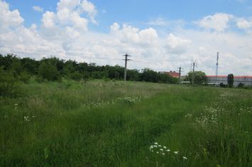 Clinceni-Ortansei. anunturi imobiliare Bucuresti