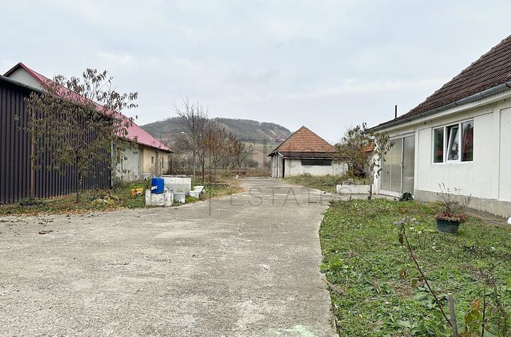 Casa cu 3 Hale si teren 8000 mp in Ulileacu de Cris, Bihor anunturi imobiliare Bihor