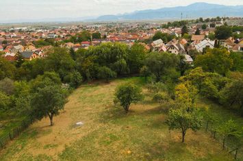 Teren de vanzare CODLEA - Brasov anunturi imobiliare Brasov