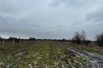 Teren de vanzare COSOVENI - Dolj anunturi imobiliare Dolj