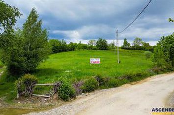 Teren Intravilan de vanzare BRAN - Brasov anunturi imobiliare Brasov
