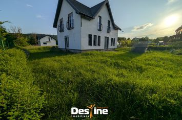 Vilă - 4 camere de vanzare DOBROVAT - Iasi anunturi imobiliare Iasi