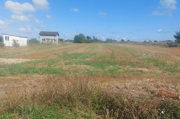 Teren de vanzare 5000 mp in Costinesti anunturi imobiliare Constanta