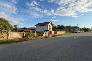Teren de vanzare CURTISOARA - Gorj anunturi imobiliare Gorj