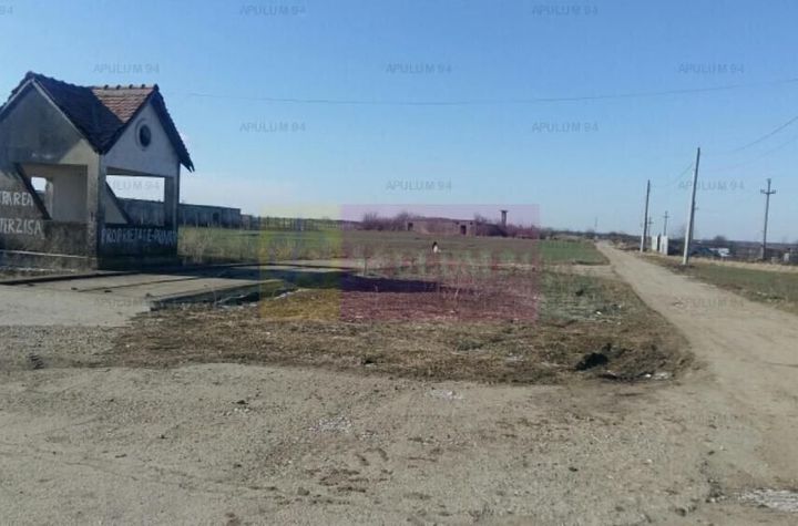 Teren Balotesti- Saftica anunturi imobiliare Bucuresti