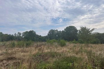 Vanzare teren Magurele lot 2260 mp anunturi imobiliare Bucuresti