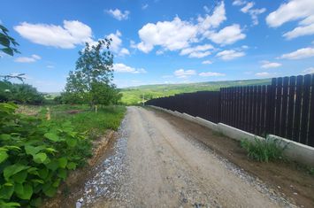 Teren de vanzare BARNOVA - Iasi anunturi imobiliare Iasi