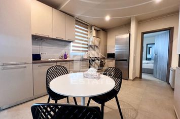 Apartament cu 2 camere, terasa de 25mp, PetFriendly, Braytim anunturi imobiliare Timis