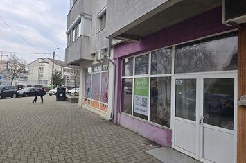 Spațiu comercial de inchiriat FRUMOASA - Iasi anunturi imobiliare Iasi