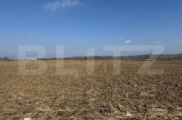 Teren de vanzare ALBA IULIA - Alba anunturi imobiliare Alba
