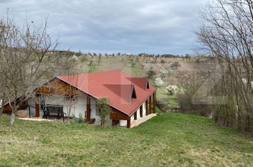 Vilă - 5 camere de vanzare ALBA IULIA - Alba anunturi imobiliare Alba