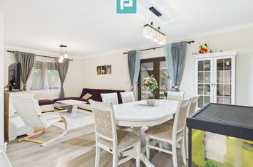 Vilă cu 3 camere în Vladimirescu anunturi imobiliare Arad