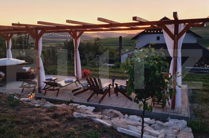 Vilă - 9 camere de vanzare BACIU - Cluj anunturi imobiliare Cluj