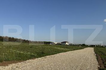 Teren de vanzare PLAIUL VULCANESTI - Dolj anunturi imobiliare Dolj