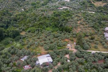 Teren construibil 6.596 mp în Chrisi Ammoudia, Thassos anunturi imobiliare Grecia