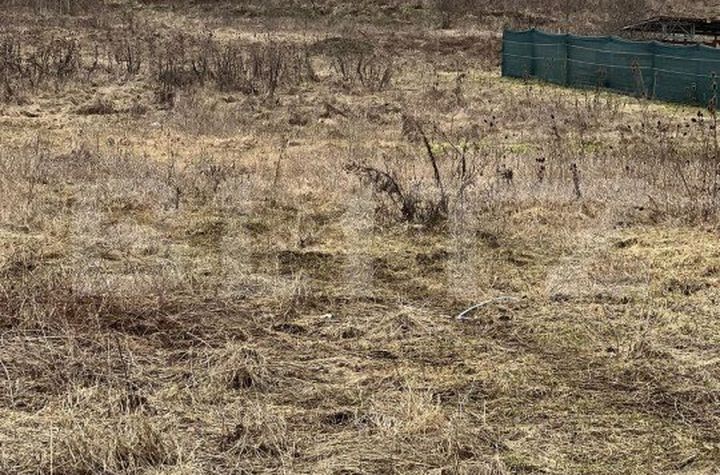 Teren de vanzare LIVEZENI - Mures anunturi imobiliare Mures