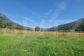 Teren de vanzare ZARNESTI - Brasov anunturi imobiliare Brasov