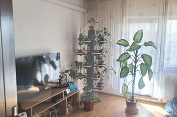 Apartament 4 camere de vanzare MIORITA - Arad anunturi imobiliare Arad