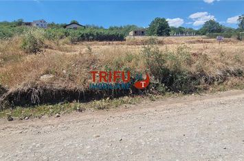 Teren Intravilan de vanzare CETATE - Alba anunturi imobiliare Alba