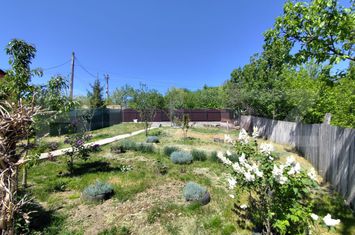 Casă - 3 camere de vanzare DUMBRAVA (CIUREA) - Iasi anunturi imobiliare Iasi