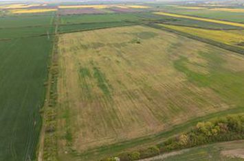 Teren investițional strategic 44.700 mp Arad Vest anunturi imobiliare Arad