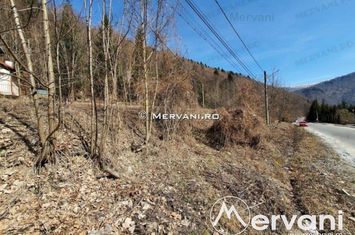 Teren Intravilan de vanzare SINAIA - Prahova anunturi imobiliare Prahova