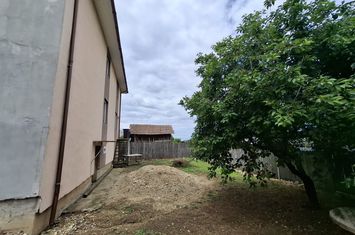 Vilă - 7 camere de vanzare CRAIOVA - Dolj anunturi imobiliare Dolj