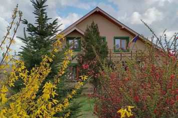 Casă - 15 camere de vanzare SALISTE DE BEIUS - Bihor anunturi imobiliare Bihor