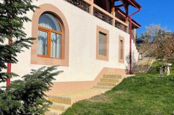 Vilă - 7 camere de vanzare IASI - Iasi anunturi imobiliare Iasi