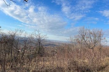 Teren Barnova  ! anunturi imobiliare Iasi