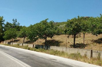 Teren construibil 4.950 mp pe drumul Potos - Theologos anunturi imobiliare Grecia