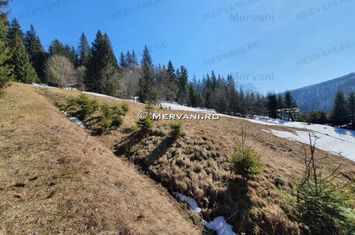 Teren de vânzare în Predeal (zona Malul Ursului) anunturi imobiliare Brasov