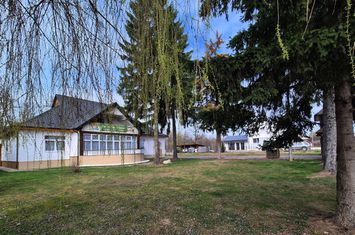Casă - 9 camere de vanzare OCNA SUGATAG - Maramures anunturi imobiliare Maramures