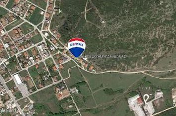 Teren construibil 402,45 mp — Amigdaleonas anunturi imobiliare Grecia